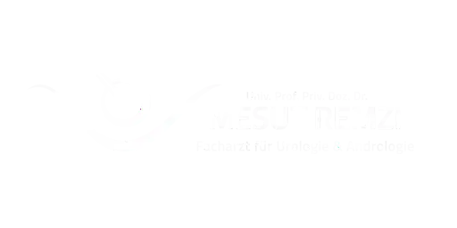 logo_mesut-remzi