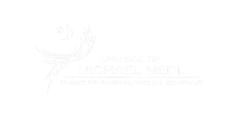 logo_michael-medl